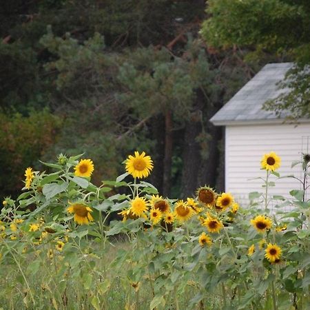 Clary Lake Bed And Breakfast Jefferson 외부 사진