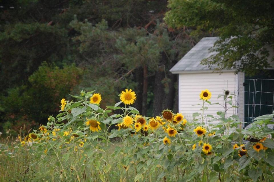 Clary Lake Bed And Breakfast Jefferson 외부 사진